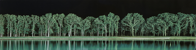 Green Trees by artist Derris Lanier